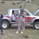 Illustration for article titled Is It Wrong To Think The Talibans Toyota Truck Has Cool Graphics?